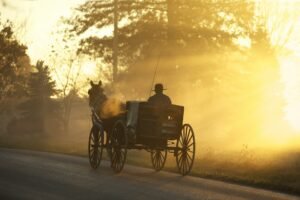 Met paard en wagen de heuvel op