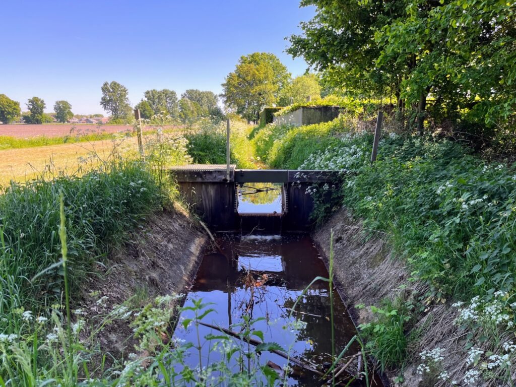Bergbeekje