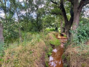 Een echte waterval